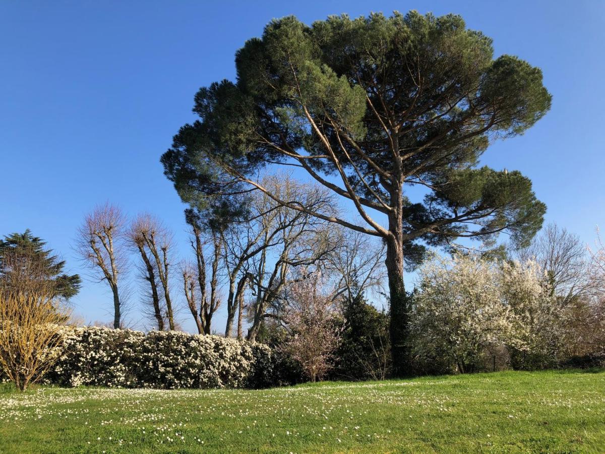 La Suite A Chateau Franc Daut Saint-Magne-de-Castillon المظهر الخارجي الصورة