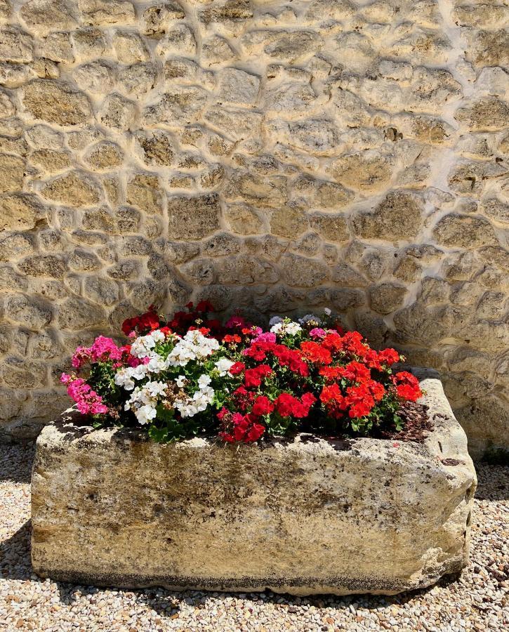 La Suite A Chateau Franc Daut Saint-Magne-de-Castillon المظهر الخارجي الصورة