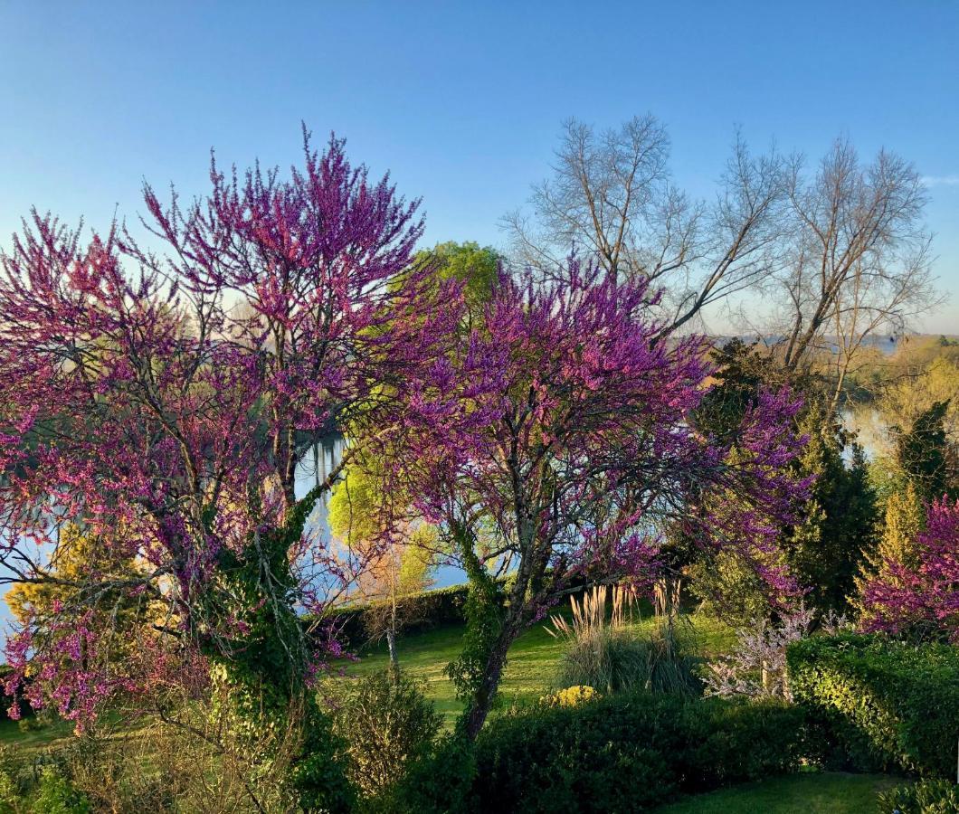 La Suite A Chateau Franc Daut Saint-Magne-de-Castillon المظهر الخارجي الصورة